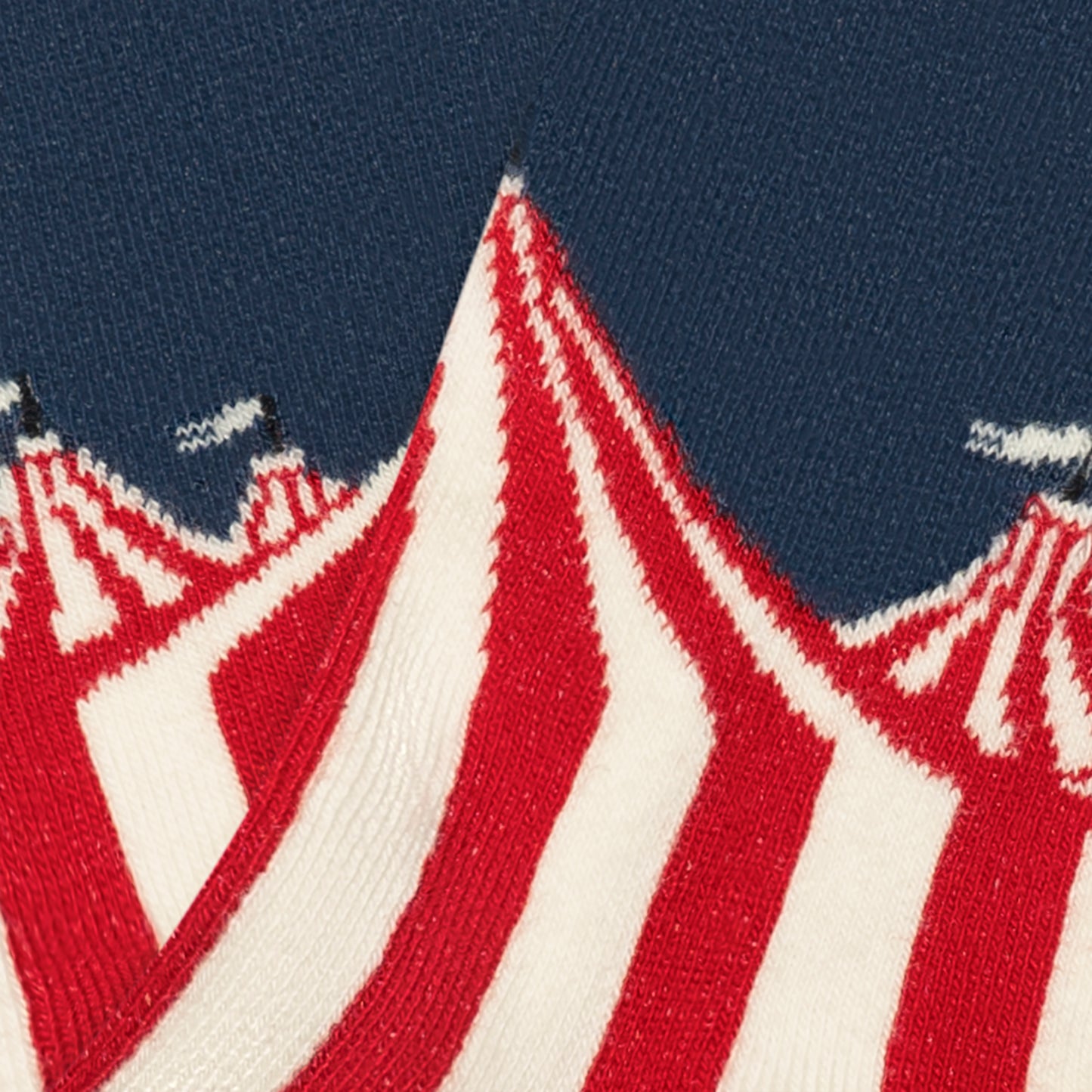 Kids Circus Tent - Blue (3)
