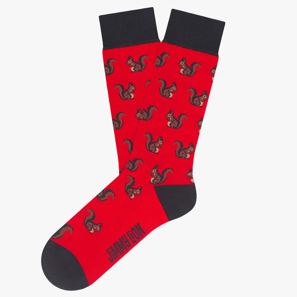 Squirrels - Red