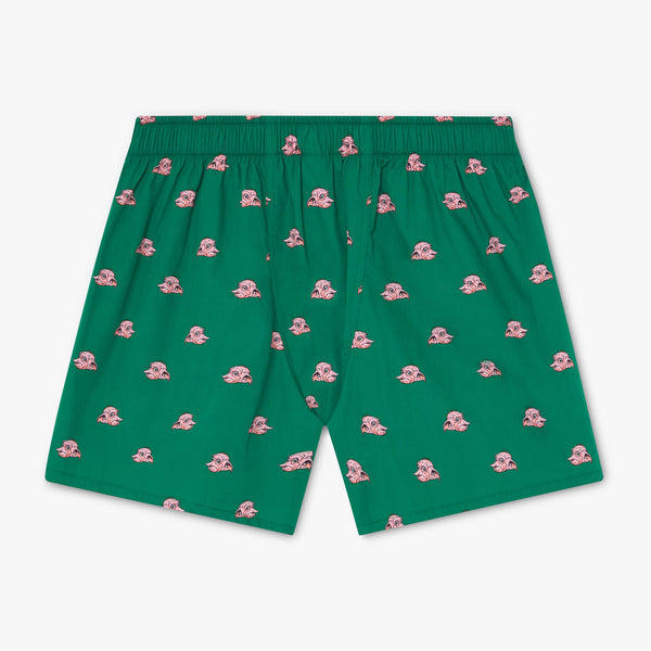 Harry Potter Dobby Boxer Shorts - Green