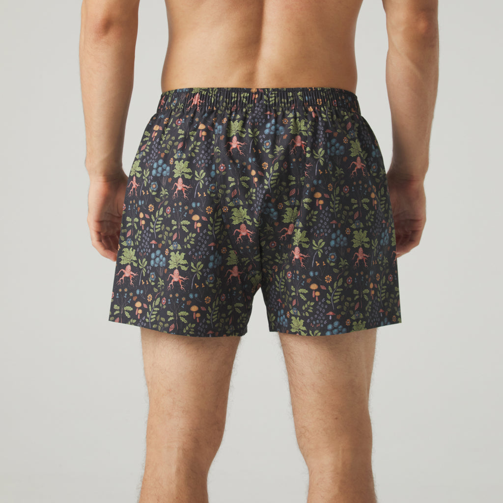 Herbology Boxer Shorts & Socks Bundle - Various