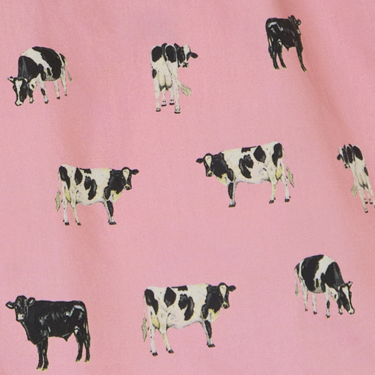 Odd Cow Out Boxer Shorts - Pink