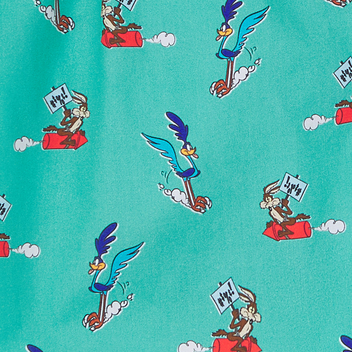 Road Runner vs Coyote Boxer Shorts - Sage Green