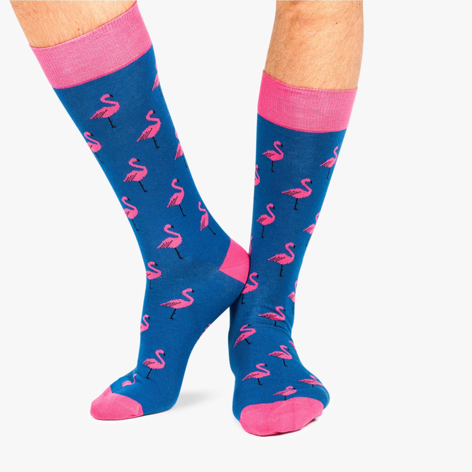 Flamingo - Blue (1)