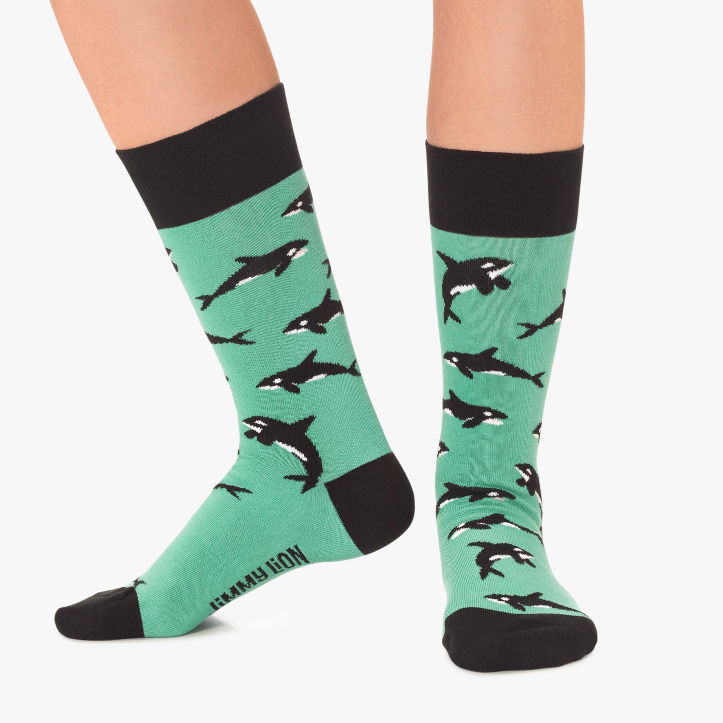 Killer Whales - Turquoise (2)